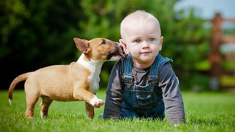 Puppies and Babies Playing Together Compilation Part 3