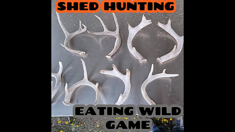 Eating Wild Game/Racoon Trapping/New Blind Sets/Replacing Old Blinds/Shed Hunting