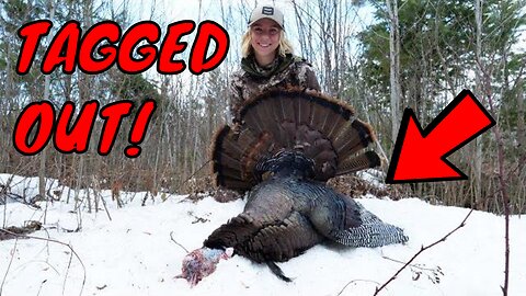 Tagged out up North! - Wisconsin Turkey Hunting - Period A