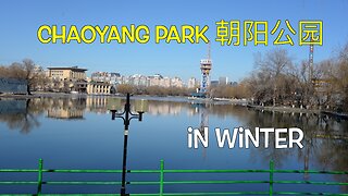 Chaoyang Park in winter