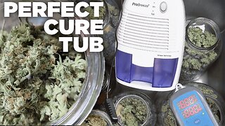 How to Cure Cannabis Buds Perfectly - Curing 101 - Automatic Cure Bin