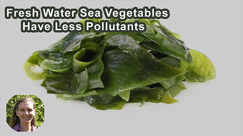 Do Fresh Water Sea Vegetables Have Less Pollutants?