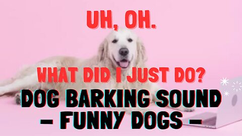 Top 10 dog barking videos.