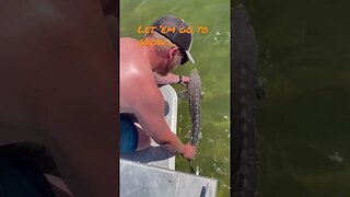 Sturgeon release Snake River