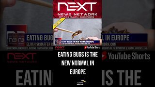 Eating Bugs Is the New Normal in Europe #shorts