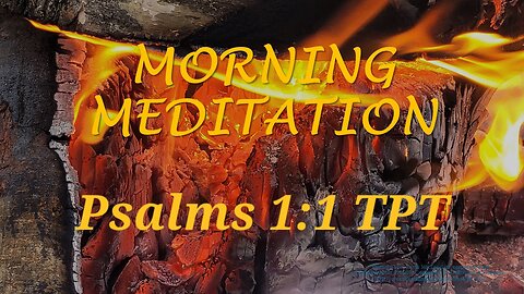 Morning Meditation -- Psalm 1 verse 1 TPT