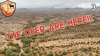 A DESERT MULE DEER HUNT |SHOOTER BUCK LOCATED|