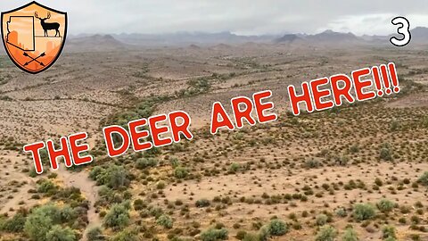 A DESERT MULE DEER HUNT |SHOOTER BUCK LOCATED|