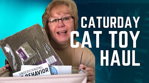 Caturday Cat Toy Shopping on a Budget #catsittingspecialist #caturday #catbehavior