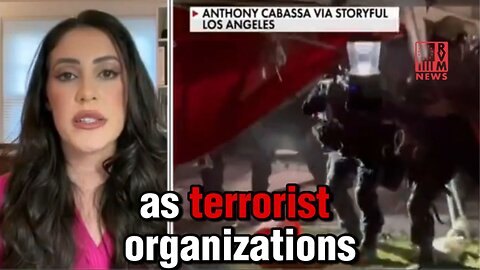 Protestors Are Spreading Terrorist's Rhetoric, Follow The Money - Anna Paulina Luna