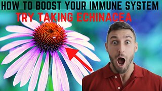 HOW TO BOOST YOUR IMMUNE SYSTEM NOW WITH ECHINACEA
