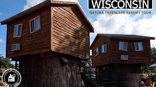 Van life Wisconsin Dells Drive In Natura Tree Scape Resort Mid West Travel Series - Ford Transit