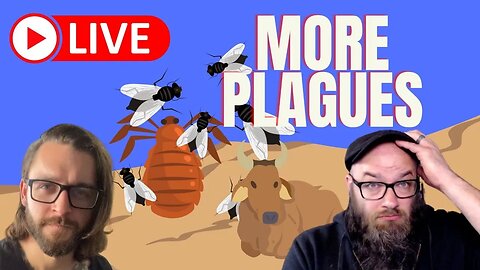More Plagues in the Deliverance Story... 🪰 🐂 #livestream