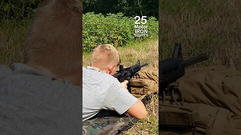 US Army 25 meter sight in AR-15 M&P Sport 2