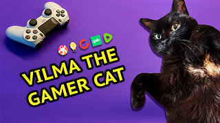 Vilma The Little Gamer Cat
