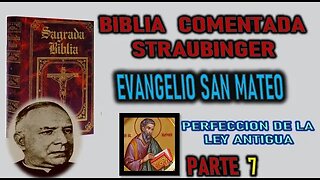 PERFECCION DE LA LEY ANTIGUA - BIBLIA BIBLIA STRAUBINGER EVANGELIO SEGUN SAN MATEO PARTE 7