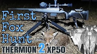 First Fox Hunt with the Pulsar Thermion 2 XP50 Thermal Rifle Scope