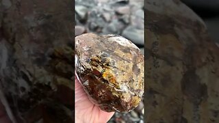 2 billion year old~ Stromatolite fossil found on frozen Lake Superior beach!