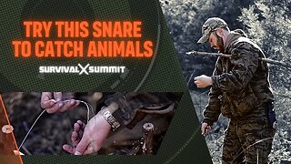 Try This Snare To Catch Animals | The Survival Summit