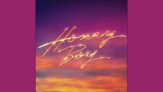 Purple Disco Machine, PNAU GaPa VIP Summer Mix 2024 - Honey Boy Passion Flower