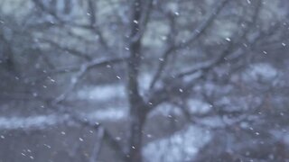 snow winter background slow motion SBV 306546112 HD