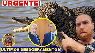 AO VIVO ÚLTIMOS DESDOBRAMENTOS 31/01/2023