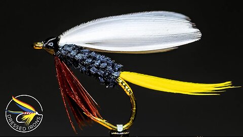 Tying the Rio Grande King - Dressed Irons