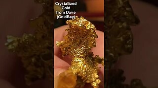 $500,000 Gold Nugget Specimens