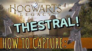 ⚡Where to Find and Capture the Thestral in Hogwarts Legacy⚡