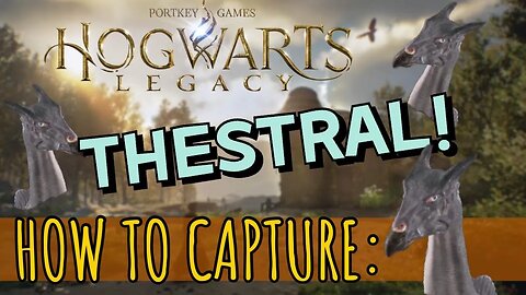 ⚡Where to Find and Capture the Thestral in Hogwarts Legacy⚡