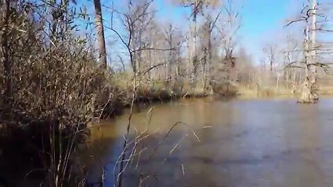 Catching Beavers in the Alabama Blackbelt