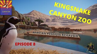 The African Penguin Reservoir | Kingsnake Canyon Zoo: Episode 8