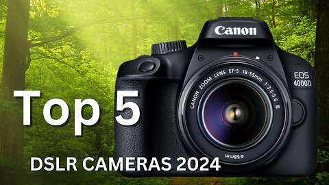 Top 5 DSLR Cameras 2024
