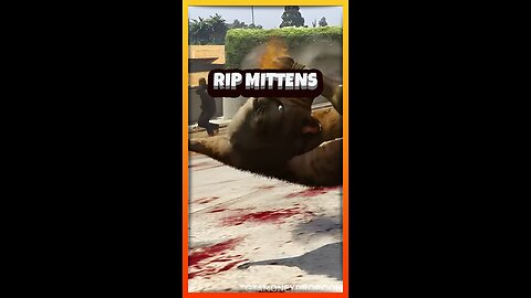 RIP mittens 😿 | Funny #GTA clips Ep. 519