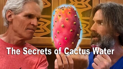 The Secrets Of Cactus Water