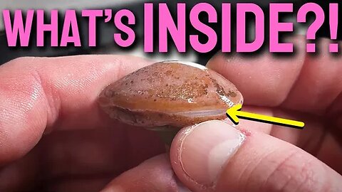 Pink Agate Nodule gets EXPOSED | Lapidary
