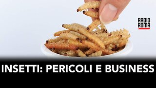 CIBO A BASE DI INSETTI: PERICOLI E BUSINESS (con Roberto Masselli e Nicoletta Forcheri)