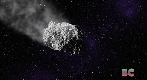 Webb Detects Extremely Small Main Belt Asteroid