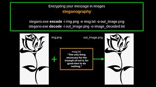 Encrypting your message in images - steganography