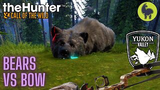 Bears vs Bow, Yukon Valley | theHunter: Call of the Wild (PS5 4K)