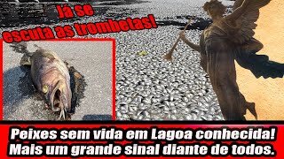 Peixes sem vida em Lagoa conhecida! Mais um grande sinal diante de todos