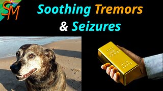 Soothing Dog Tremors & Seizures and Eliminating Surface Lumps with Colloidal Gold & Silver