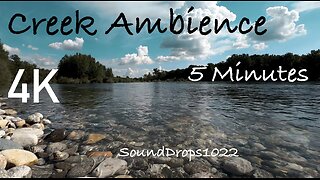 Tranquil Creek Ambience: 5 Minutes of Nature Sounds
