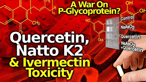 WAR On PGP! Binary Weapons For Sterilization & Poisoning? Natto K2, Quercetin & Ivermectin Toxicity