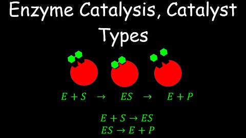 Enzyme Catalysis, Catalyst Types, Kinetics - Chemistry