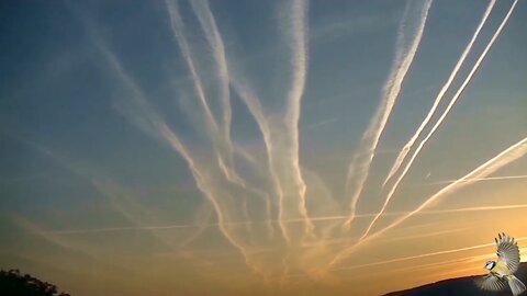 Chemtrails - Smugi chemiczne #242