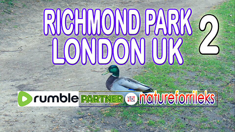 Richmond Park London UK Part-2
