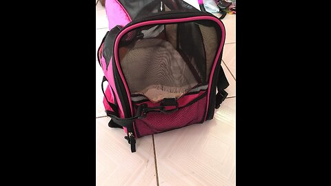Texsens Innovative Traveler Bubble Backpack Pet Carriers Airline Travel Approved Carrier Switch...