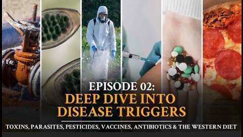 Autoimmune Answers - Episode 2 Deep Dive into Disease Triggers: Toxins, Parasites, Pesticides, Big P