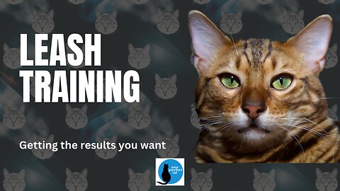 Leash Training - how to get results
